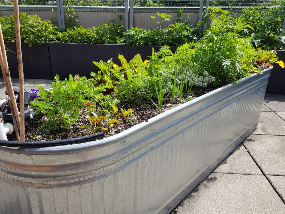 steel bin for raised garden bed