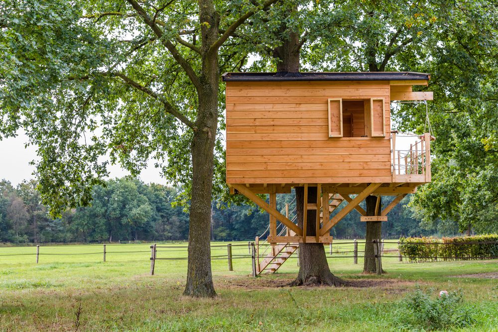 treehouse wood pallets