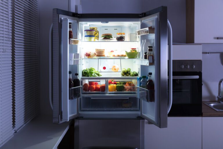 Refrigerator Lifespan Mistake
